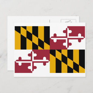 Marylander-Flagge, Flagge von Maryland Postkarte