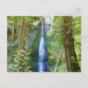 Marymere Falls I im Olympic-Nationalpark Postkarte