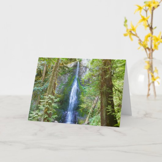 Marymere Falls I im Olympischen Nationalpark Karte (Gelbe Blume)