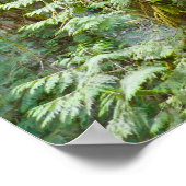 Marymere Falls I Poster (Ecke)