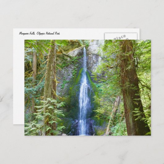 Marymere Falls I Postkarte (Vorne/Hinten)