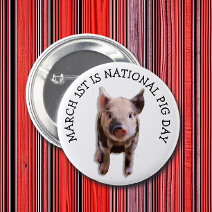März 1. National Pig Day Funny Holidays Button