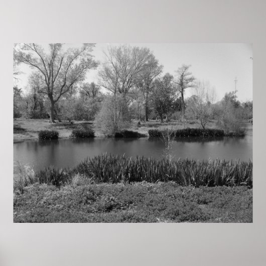 März 22 (13) Leinwand Poster (Vorne)