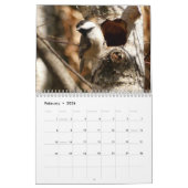 März 22 bis 23.02. Momente im Naturkalender Kalender (Feb 2026)