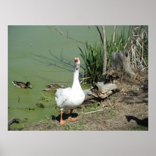 März 4 (62) Leinwand Poster (Vorne)