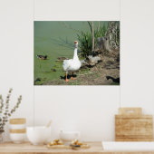 März 4 (62) Leinwand Poster (Küche)