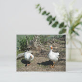 März 4 (63) Postkarte (Stehend Vorderseite)