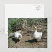 März 4 (63) Postkarte (Vorne/Hinten)