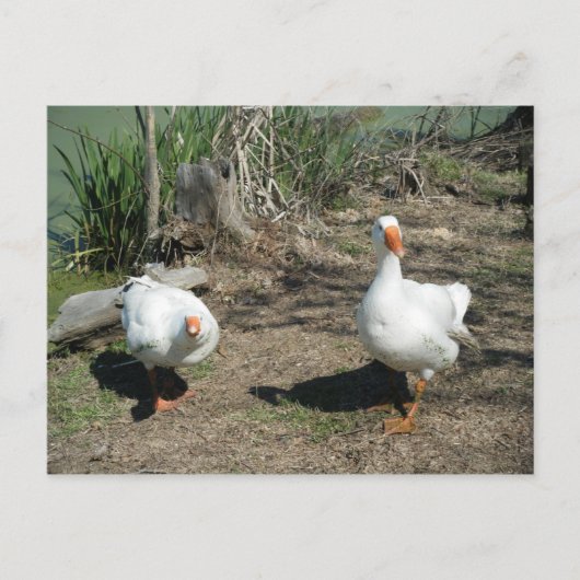 März 4 (63) Postkarte (Vorderseite)