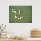 März 4th_Swamp Ducks #2 Poster (Küche)