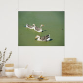 März 4th_Swamp Ducks Leinwand Poster (Küche)