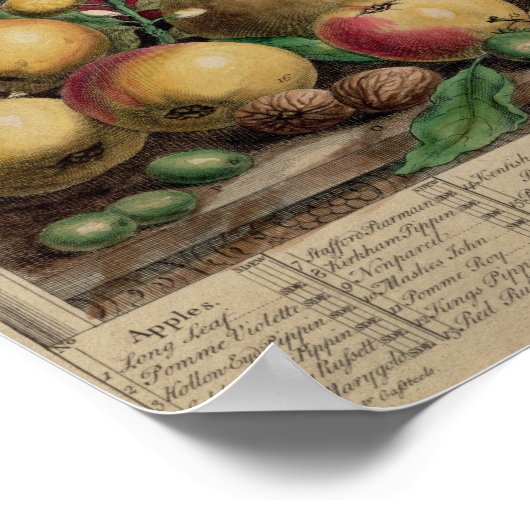 März ab "Zwölf Monate Obst" Poster (Ecke)