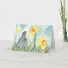 März; Amerikanischer Rotkehlchen & Daffodil; Grußk
