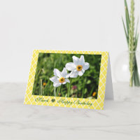 März atemberaubender weißer Jonquil