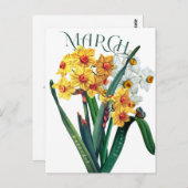 März Blume Jonquil Daffodil Extravagant Postkarte (Vorne/Hinten)