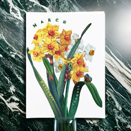 März Blume Jonquil Daffodil Postkarte
