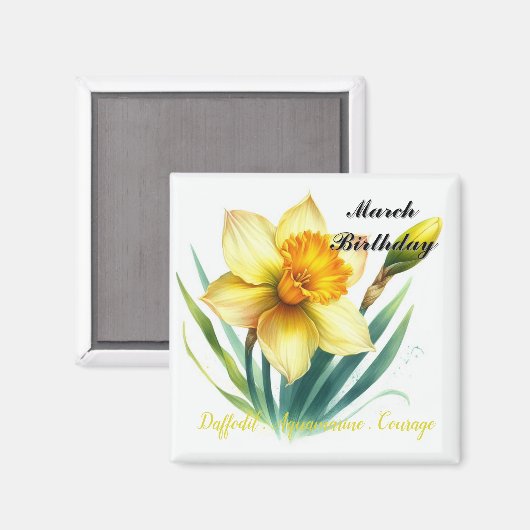 März Daffodil und Birthstone Magnet (Vorderseite/Rückseite)