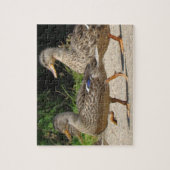 März der Enten Puzzle (Vertikal)