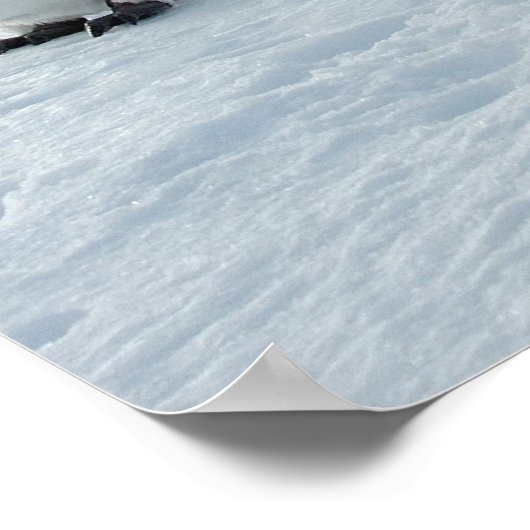 März der Pinguine Poster (Ecke)