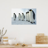 März der Pinguine Poster (Küche)
