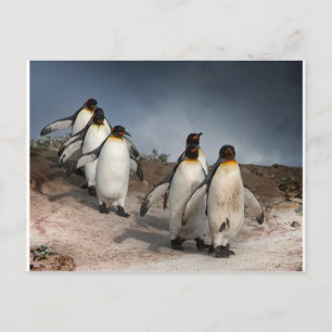 März der Pinguine Postkarte