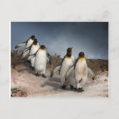 März der Pinguine Postkarte (Vorderseite)