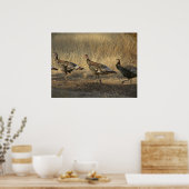 März der Türkei bei Sonnenuntergang Poster (Küche)