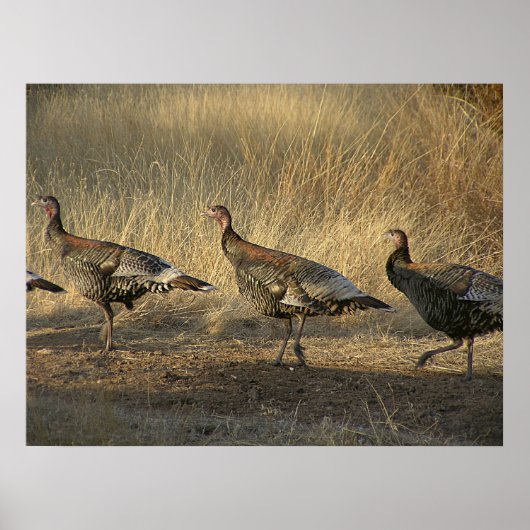 März der Türkei bei Sonnenuntergang Poster (Vorne)
