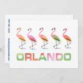 März des tropischen Flamingos ORLANDO Einladung (Vorne/Hinten)