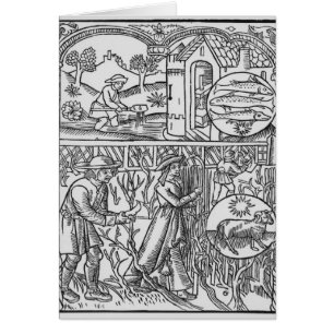 März-, Fischen- und Beschneidungsbäume, Fische