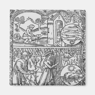 März-, Fischen- und Beschneidungsbäume, Fische Magnet