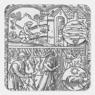 März-, Fischen- und Beschneidungsbäume, Fische Quadratischer Aufkleber