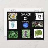 März Geburtstagssymbole Postkarte (Vorne/Hinten)