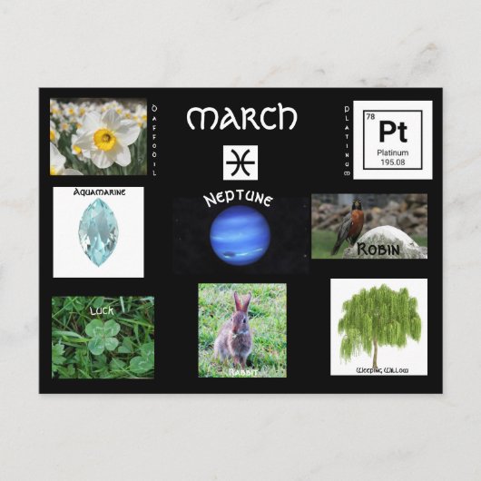 März Geburtstagssymbole Postkarte (Vorderseite)