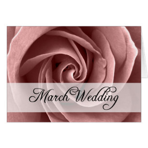 März Hochzeit : Rose der Saison: