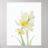 März Jonquil Birth Blume Poster (Vorne)
