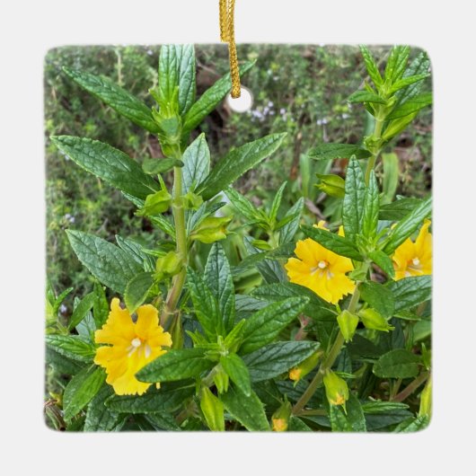 März Monkeyblumen Keramikornament (Vorderseite)