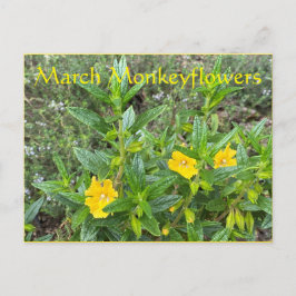 März Monkeyblumen Postkarte