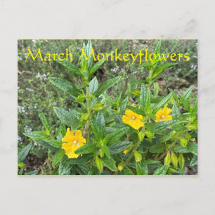 März Monkeyblumen Postkarte