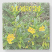 März Monkeyblumen Steinuntersetzer (Vorderseite)