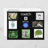 März Pisces Birthday Postcard Feiertagspostkarte (Vorne/Hinten)