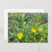 MÄRZ POSTCARD POSTKARTE (Vorne/Hinten)