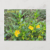 MÄRZ POSTCARD POSTKARTE (Vorderseite)