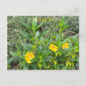 MÄRZ POSTKARTE (Vorderseite)