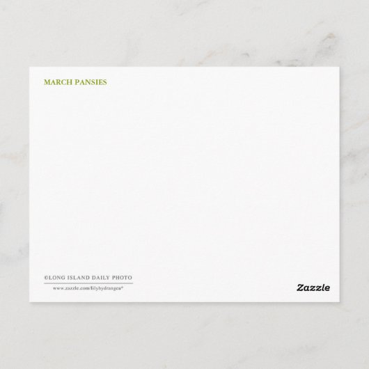 März Stiefmütterchen Postkarte (Rückseite)