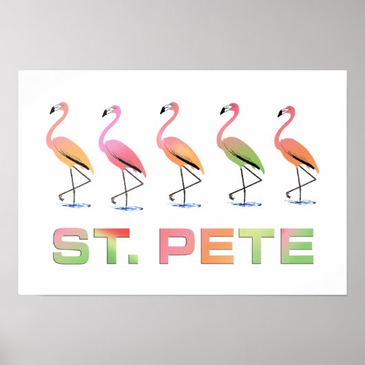 März Tropical Flamingos - St Pete Poster (Vorne)