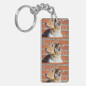 MAS Rote Merle Schlüsselanhänger (Vorderseite links)