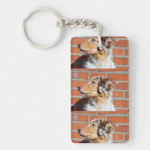 MAS Rote Merle Schlüsselanhänger