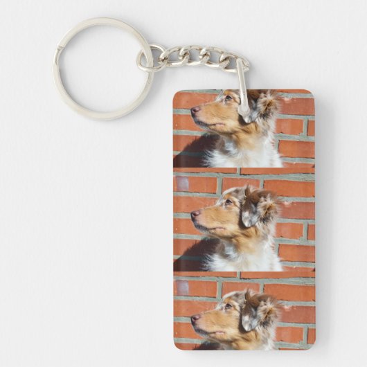 MAS Rote Merle Schlüsselanhänger (Vorderseite)