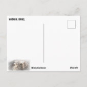 MASADA, ISRAEL POSTKARTE (Rückseite)